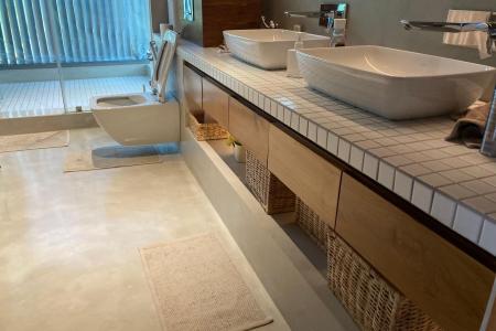 Wikkramasingha Pura site titanium project